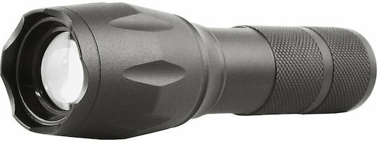 everActive Taschenlampe LED IPX4 mit maximaler Helligkeit 600lm Schwarz