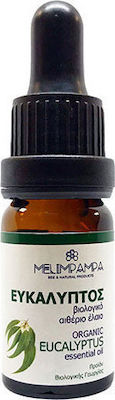 ΜελιΜπαμπά Organic Essential Oil Eucalyptus 10ml