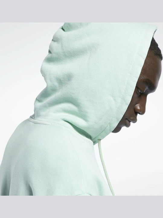 Natural Dye Hanorac cu Glugă Sage Green