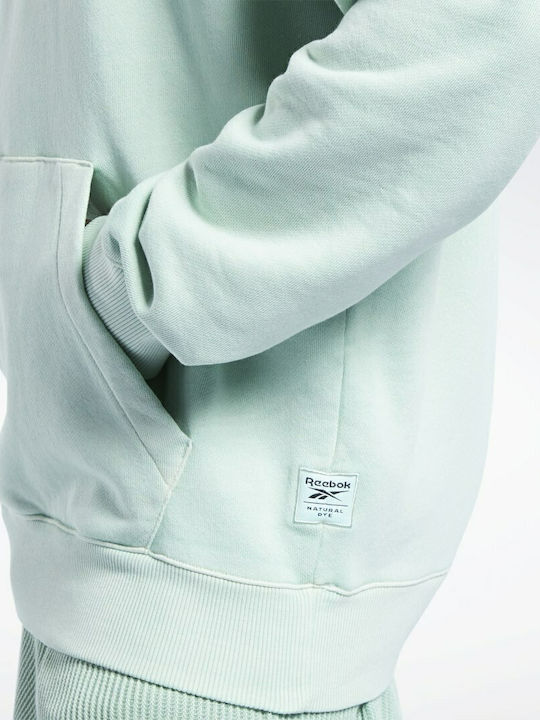 Natural Dye Hanorac cu Glugă Sage Green