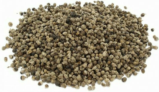 MPACHARADIKO Keusch Τree Samen 100gr