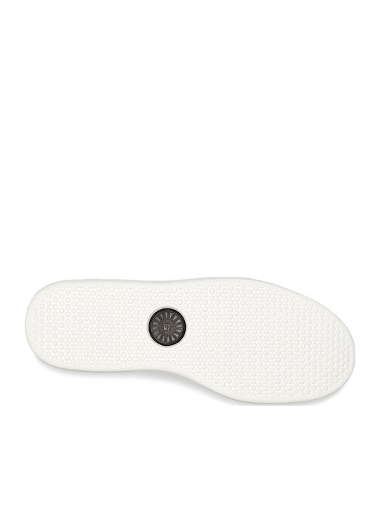 South Bay Low Trainer Sneakers Black