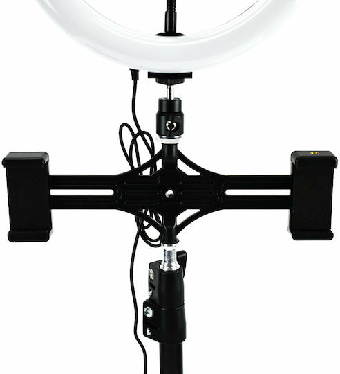 Puluz Ringlicht 26cm 3200 - 6500K mit Bodenstativ und Handyhalter