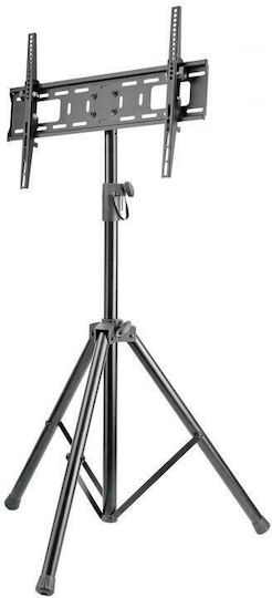 Sbox FS-846 Δαπέδου έως 70" και 35kg