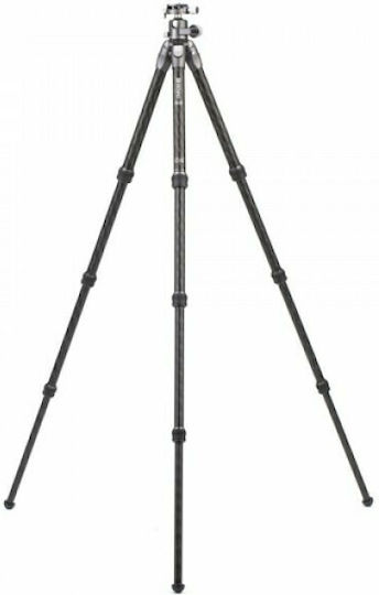 Benro Benro Kamerastative Tortoise 24C aus Carbonfaser