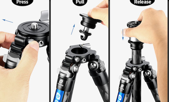 Leofoto Camera Tripod LQ-284C+LH-30 LQ-284C+LH-30 from Carbon Fiber with Spherical Head