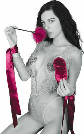 Sportsheets Sex & Mischief Enchanted Starter Kit BDSM Kit in Rot Farbe