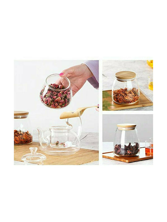 Viosarp Vase General Use with Airtight Lid Glass Transparent 450ml