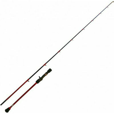 Oceanic Nitro-X Fishing Rod for Slow Jigging with Reel 1.90m 100-160gr