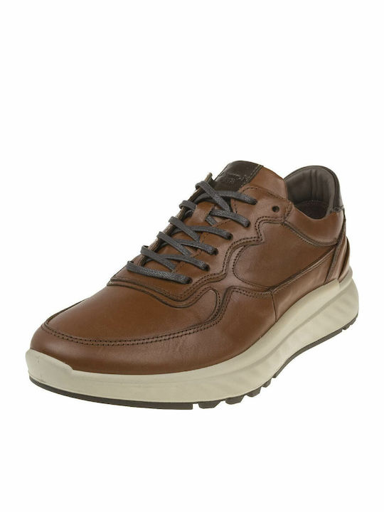 Anatomical Sneakers Tabac Brown