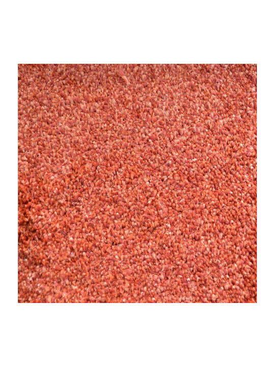 Ns Carpets Covor Terra pe Metru Lățime 100cm