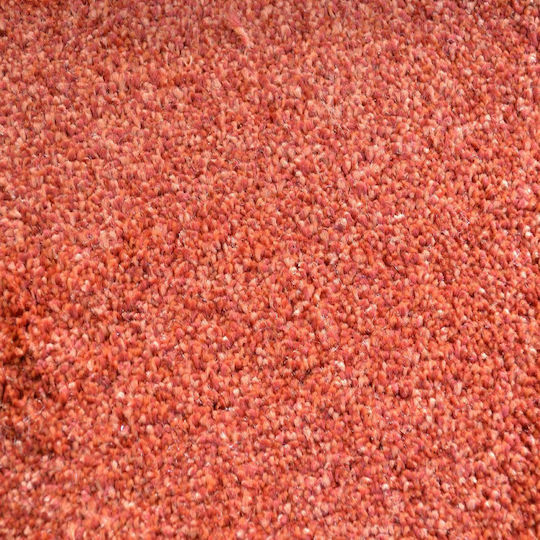 Ns Carpets Μοκέτα Φριζέ Terra (τιμή ανά μέτρο)