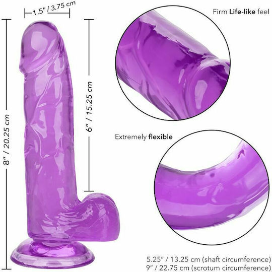 Calexotics Size Queen Dildo Realistisches Dildo mit Hoden und Saugnapf Purple 15cm