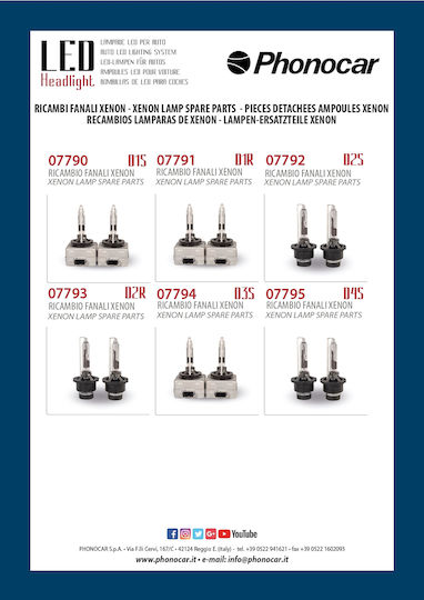 Phonocar Car Lamps D2R Xenon 6000K Cold White 12V 35W 2 Pieces