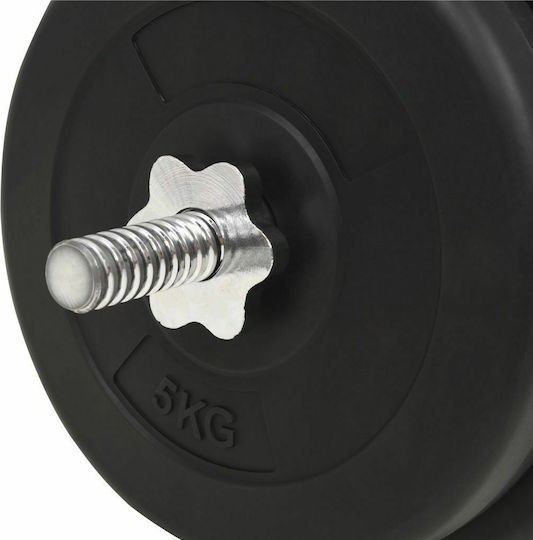 vidaXL ​Στραβόμπαρα Φ25mm Σετ με Βάρη 30kg Μήκους 120cm χωρίς Κολάρα