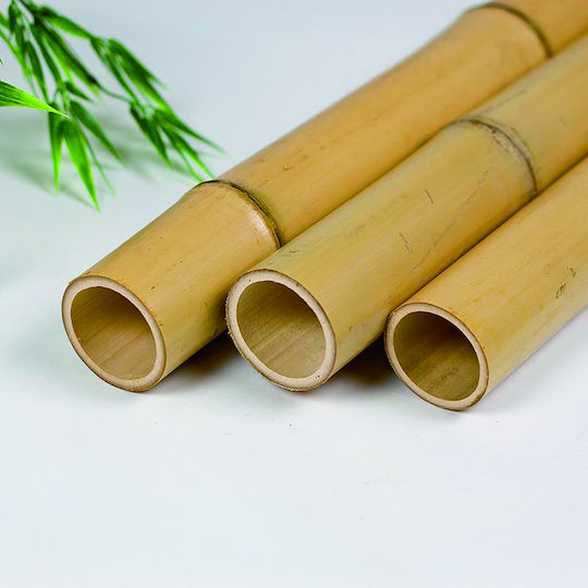 Showood Καλάμι για Περίφραξη Κήπου από Μπαμπού 300x10x10εκ.
