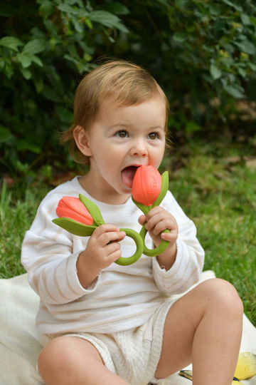 Oli&Carol Theo Tulipa Teether Rubber for 0 Months+