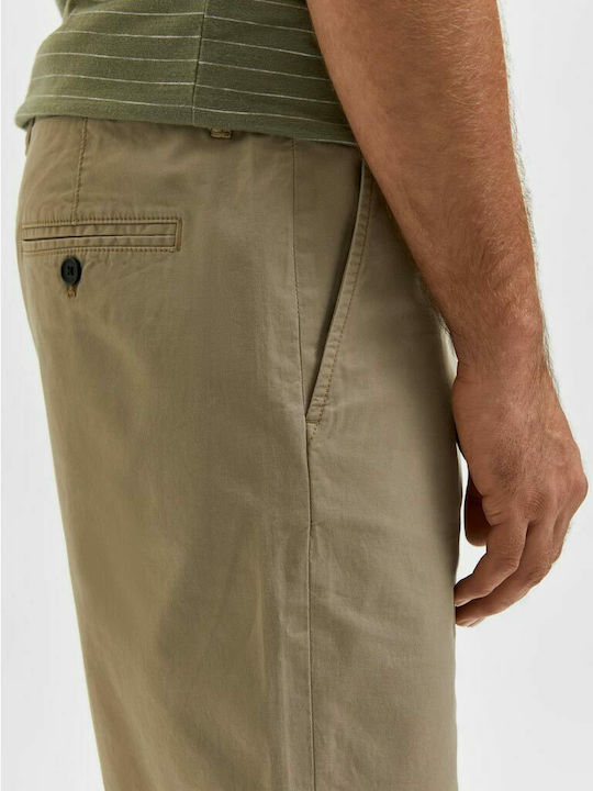 Men's Shorts Chino Chinchilla