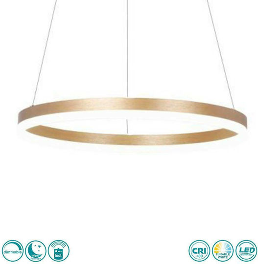Sun Light LED Κρεμαστό Φωτιστικό Χρυσό 51εκ. Sun Light LED Κρεμαστό Φωτιστικό Χρυσό 51εκ.