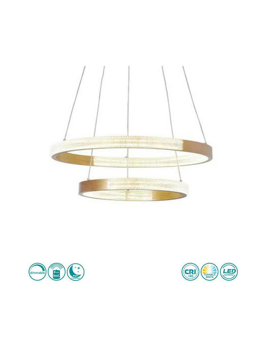 Sun Light Pendant Lamp with Built-in LED Gold