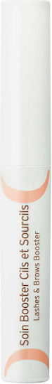 Embryolisse Eyebrow & Eyelash Serum with Peptides & Panthenol for Nourishing 6.5ml