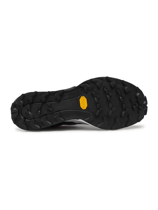 Alpine DNA Sport Shoes Running Black