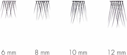 Sweed No Lash Cluster 101