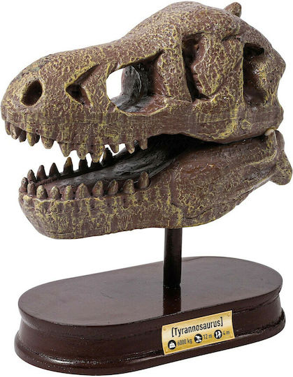 Buki Ανασκαφή: Κρανίο Tυραννόσαυρος STEM Educational Game Dinosaur Excavation for 8+ years old Years Old