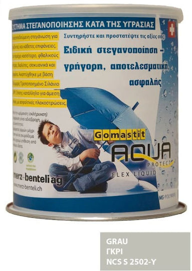 Gomastit Aqua Protect Flex Liquid Sealant Silicone Gray 1kg