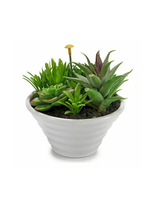 Ibergarden Topf Kunststoff 12x12x12cm.