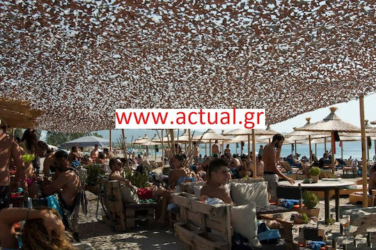 Ecoshadow Ορθογώνιο Δίχτυ Παραλλαγής Καφέ με Επίστρωση PU 2x6m 160gr/m²