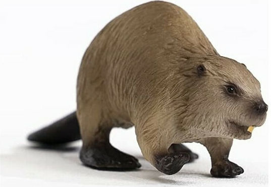Schleich-S Κάστορας