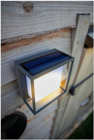 Lutec Curtis Wall Mounted Solar Light 3W 300lm Warm White 3000K with Motion Sensor and Photocell IP54 19cmx16.5cmx95cmcm