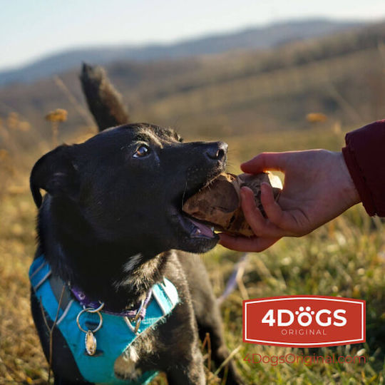 4Dogs Heather Root Chew Λιχουδιά Σκύλου Μικρόσωμων Φυλών χωρίς Γλουτένη