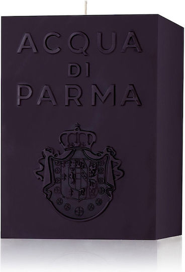 Acqua di Parma Aromatisch Kerzentyp Bernstein Schwarz