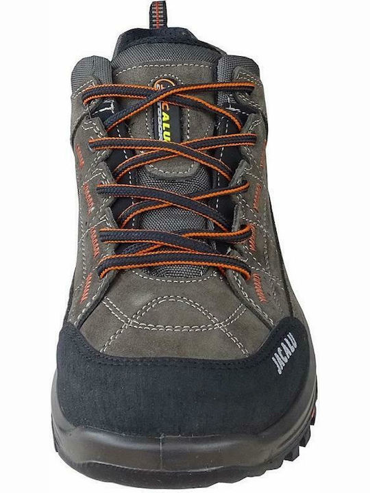 Jacalu 3749 Men's Gray Hiking Shoes
