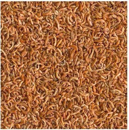 Tetra Gammarus Food for Turtle for Aquatic Turtles 25gr