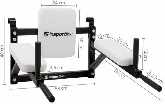 inSPORTline Wandmontierte Dip-Station LCR-11114B Monozugo Für Benutzer Bis 150kg