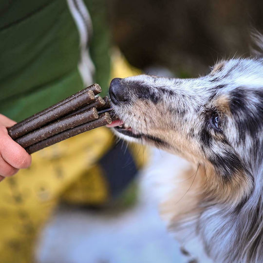 Akinu Treatsticks Rolls Tripe Sticks für Hunde 12Stück 204733