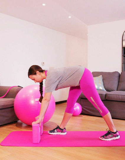 Lanaform Μπάλα Pilates σε Ροζ Χρώμα Σετ Pilates με 2 Μπάλες Γυμναστικής, 1 Μπάντα Αντίστασης και 2 Τουβλάκια Yoga