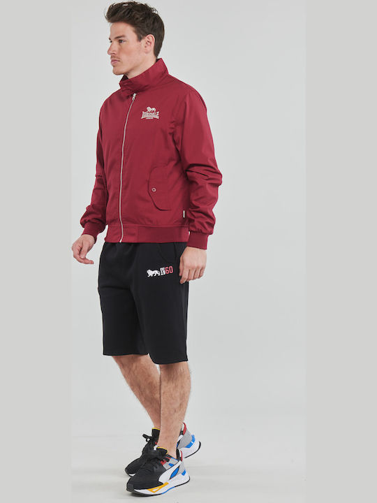 Harrington Jacke Bomber Burgundisch