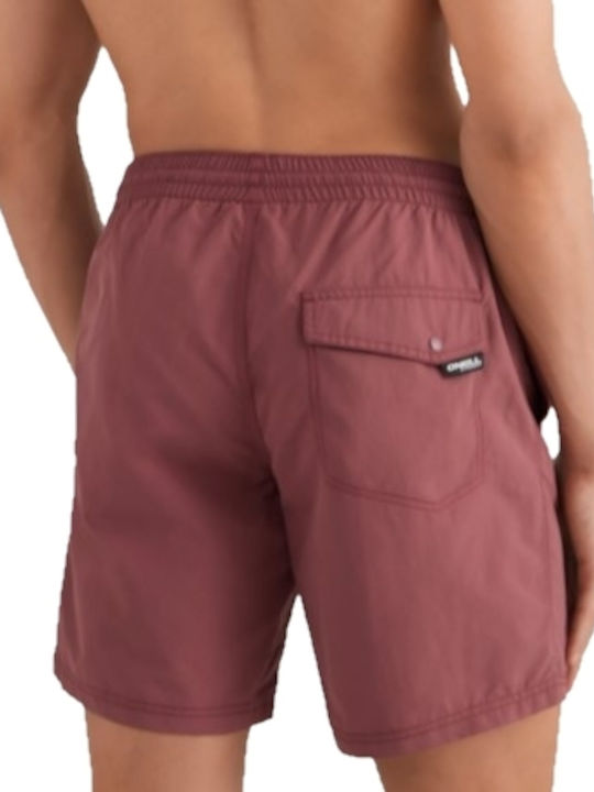 Men's Swimwear Shorts Burgundy