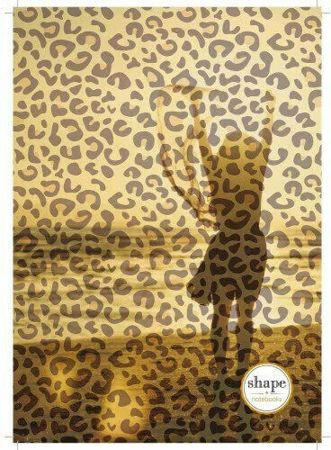 Shape Notebooks Σπιράλ Τετράδιο Ριγέ Β5 90 Φύλλων 3 Θεμάτων (Διάφορα Σχέδια/Χρώματα)
