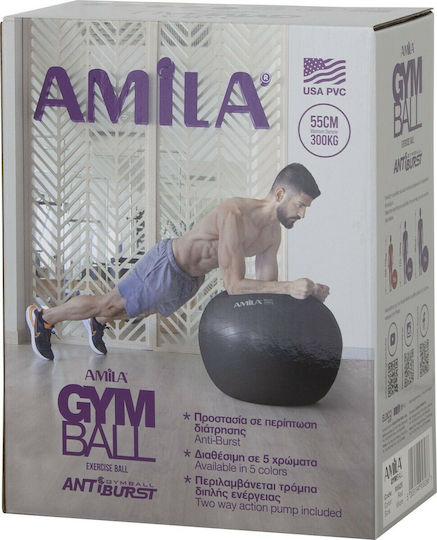 AMILA Топка Пилатес 65см , 1.35кг в Черен Цвят