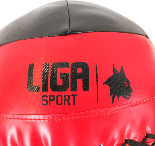 Liga Sport Топки Стена 8кг в Червен Цвят