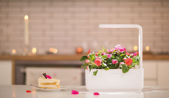 Click and Grow The Smart Garden 3 Self-watering Planter Box Plastic Beige 32x13.5x23cm.