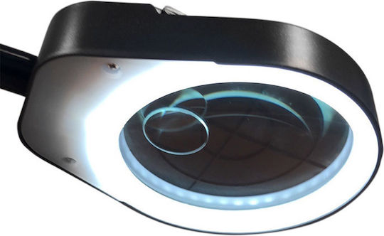 Timeless Tools Tabletop Magnifying Lense with Light Folding with Rotating Arm 1pcs