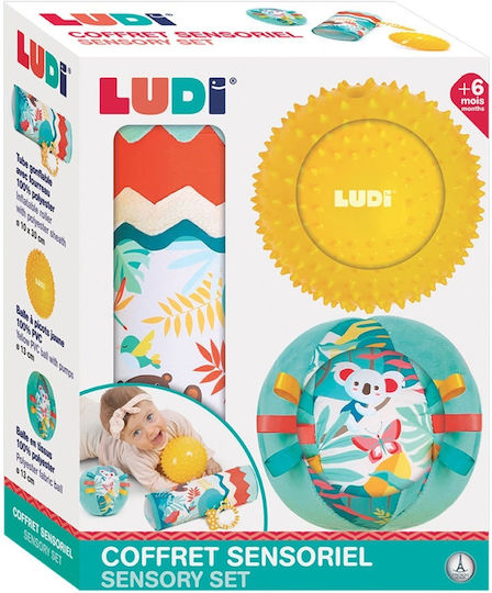 Ludi Ball Jungle Sensory Box for 6++ Months