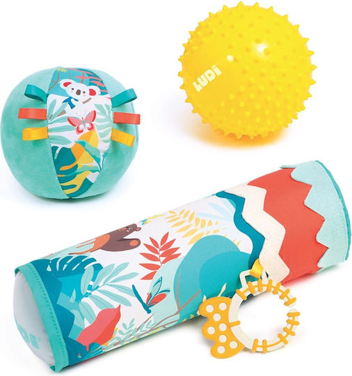 Ludi Μπάλα Jungle Sensory Box για 6+ Μηνών