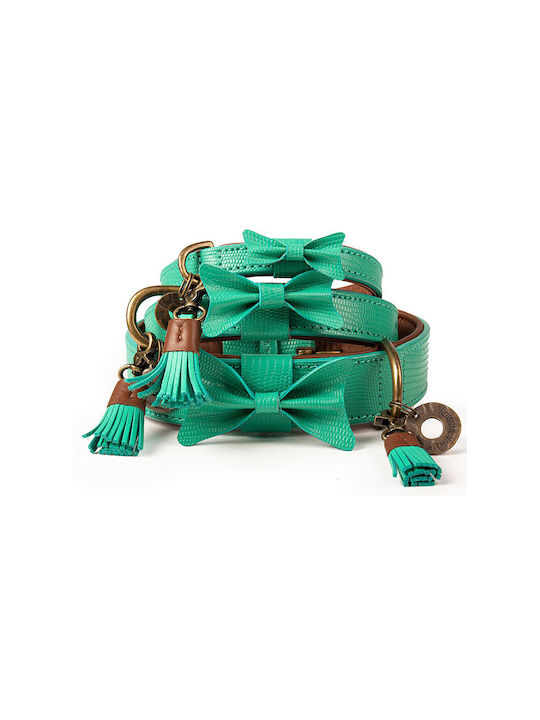 DWAM Boomer Guler pentru câini în culoarea Verde Mici 20mm x 28 - 34cm